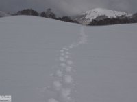 2017-12-29 V. del Morretano 133